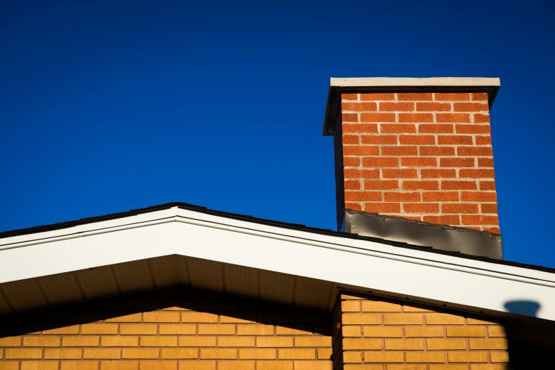 Chimney Assessment in Tampa, FL